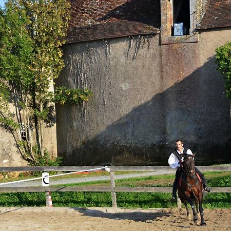 Chateau Des Noces Bazoges-en-Pareds Exterior foto