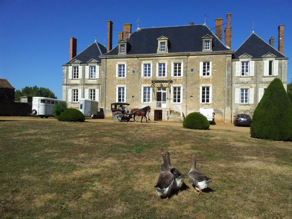 Chateau Des Noces Bazoges-en-Pareds Exterior foto